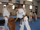 Edzés a Shin Dojóban