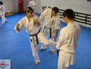 Edzés a Shin Dojóban