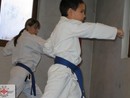 Edzés a Shin Dojóban