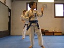 Edzés a Shin Dojóban