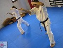 Edzés a Shin Dojóban