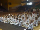 Shin Shibu Nyuszi Kupa