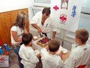 1 éves a Seishin Dojo