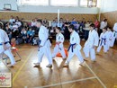 IX. Ashihara Karate Gála