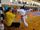 IX. Ashihara Karate Gála