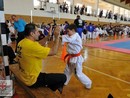 IX. Ashihara Karate Gála