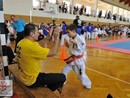 IX. Ashihara Karate Gála