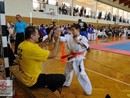 IX. Ashihara Karate Gála