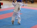 IX. Ashihara Karate Gála