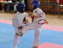 IX. Ashihara Karate Gála