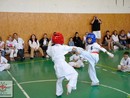 Bemutató edzés