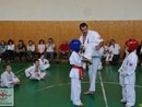 Bemutató edzés
