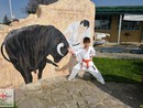 Knock Down Karate Diákolimpia