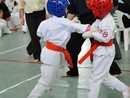 Knock Down Karate Diákolimpia