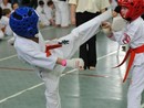 Knock Down Karate Diákolimpia