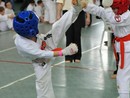 Knock Down Karate Diákolimpia