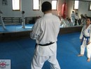 Edzés a Shin Dojóban