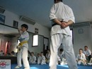 Edzés a Shin Dojóban