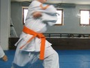 Edzés a Shin Dojóban