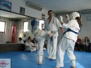 Edzés a Shin Dojóban