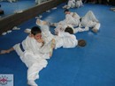 Edzés a Shin Dojóban
