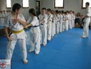 Edzés a Shin Dojóban