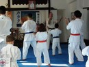 Edzés a Shin Dojóban