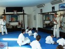 Edzés a Shin Dojóban