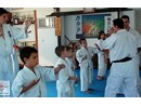 Edzés a Shin Dojóban