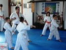 Edzés a Shin Dojóban