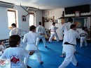 Edzés a Shin Dojóban
