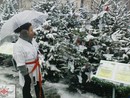 INVITEL-HEGYEM Karácsony