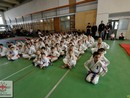 IV. Shin Shibu