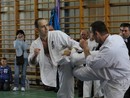 IV. Shin Shibu