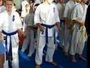 Nyílt Szlovák Bajnokság