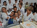 2 éves a Seishin Dojo