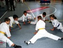 III. Össz Knockdown Karate Utánpótlás Bajnokság - BUSHIDO KUPA