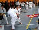 III. Össz Knockdown Karate Utánpótlás Bajnokság - BUSHIDO KUPA