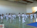 Sensei Bódi István Szeminárium