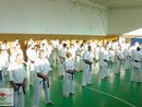 Sensei Bódi István Szeminárium