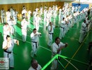 Sensei Bódi István Szeminárium