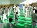 Sensei Bódi István Szeminárium