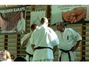 Sensei Bódi István Szeminárium