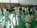 Sensei Bódi István Szeminárium