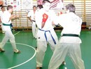 Küzdő edzés Sosai emlékére, OSU!