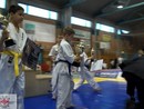 Össz Kyokushin Karate Európa-bajnokság