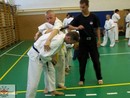 3 éves a Seishin Dojo