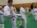 3 éves a Seishin Dojo