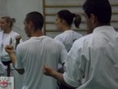 3 éves a Seishin Dojo