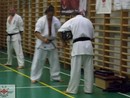 3 éves a Seishin Dojo